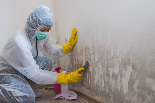 Mold Removal and Inspection in Mason, OH