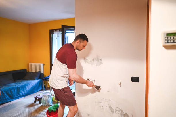 Best Attic Mold Removal  in Mason, OH